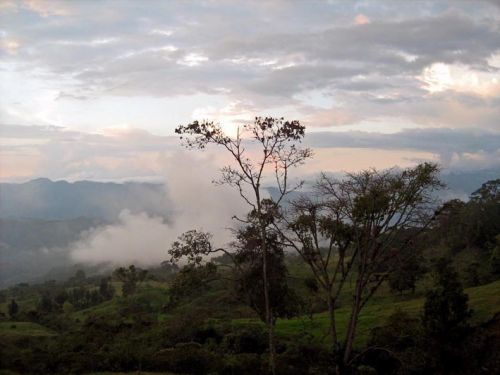 Fotografia de waxxman - Galeria Fotografica: Paisaje del tropico - Foto: 