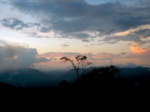 Fotografia de waxxman - Galeria Fotografica: Paisaje del tropico - Foto: 