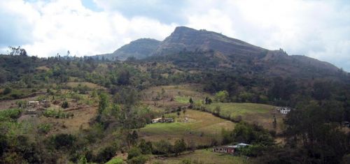 Fotografia de waxxman - Galeria Fotografica: Paisaje del tropico - Foto: 