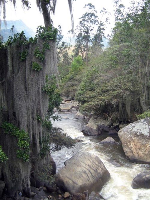 Fotografia de waxxman - Galeria Fotografica: Paisaje del tropico - Foto: 