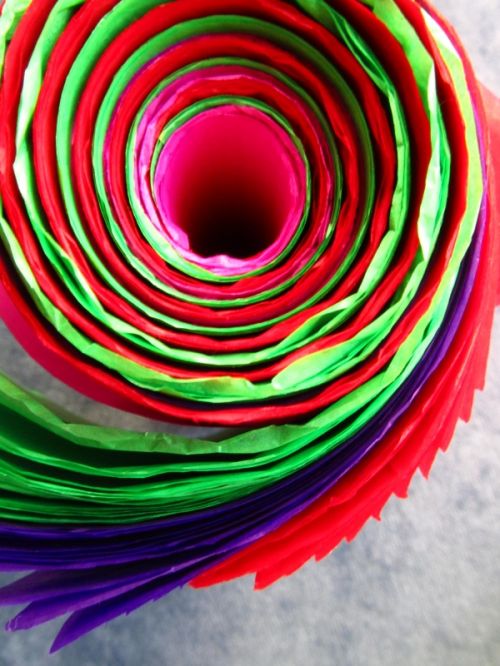 Fotografia de PABLO - Galeria Fotografica: De colores - Foto: Enrrollado