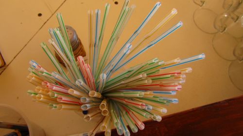 Fotografia de PABLO - Galeria Fotografica: De colores - Foto: Popotes