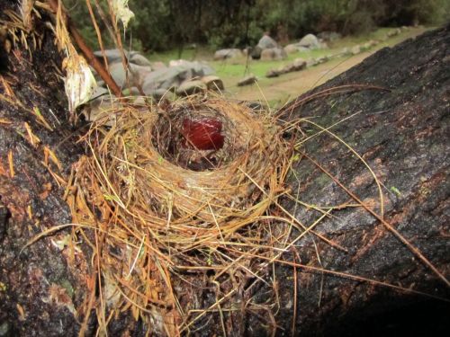 Fotografia de PABLO - Galeria Fotografica: Prespectiva - Foto: Anido