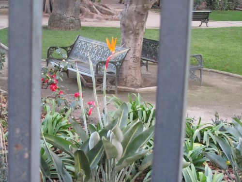 Fotografia de PABLO - Galeria Fotografica: Prespectiva - Foto: Enmarcada