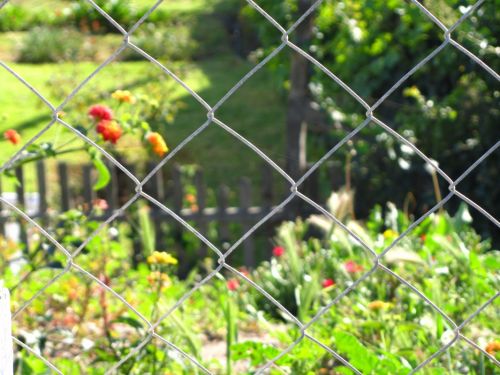 Fotografia de PABLO - Galeria Fotografica: Prespectiva - Foto: Dimensiones