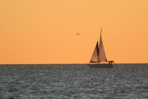 Fotografia de e. vital - Galeria Fotografica: Chipiona - Foto: 