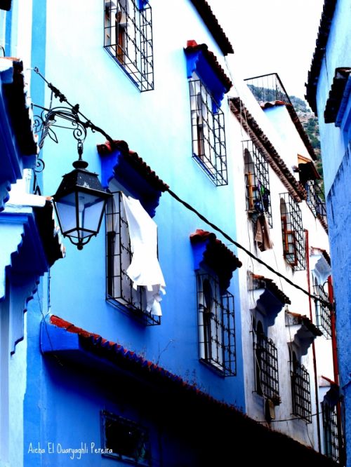 Fotografia de Aicha El Ouaryaghli Pereira - Galeria Fotografica: Chefcoune - Foto: azul y azul