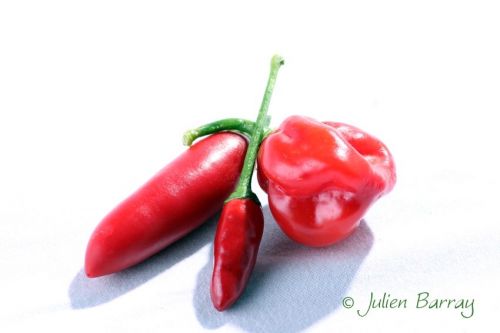 Fotografia de Julian Barray - Galeria Fotografica: Gastro Photo - Foto: Guindillas rojas