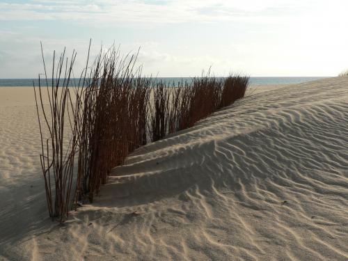 Fotografia de Juan A. Ortiz - Galeria Fotografica: Dunas - Foto: duna1