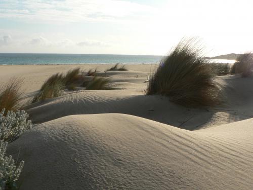 Fotografia de Juan A. Ortiz - Galeria Fotografica: Dunas - Foto: duna2