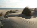Fotos de Juan A. Ortiz -  Foto: Dunas - duna2