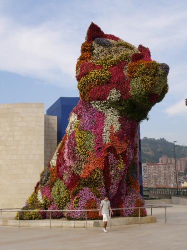 Fotografia de teje - Galeria Fotografica: mi punto de vista - Foto: perrito