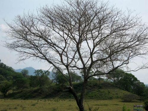 Fotografia de victoria photo - Galeria Fotografica: Paisaje de Agua de Dios - Foto: 