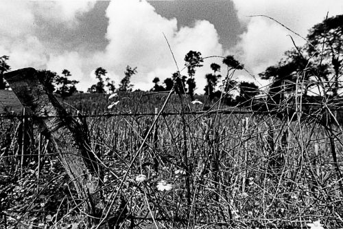Fotografia de Gian Luca Franceschini | photography - Galeria Fotografica: Nature - Foto: Nature