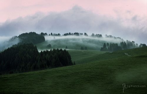 Fotografia de Gian Luca Franceschini | photography - Galeria Fotografica: Nature - Foto: Nature