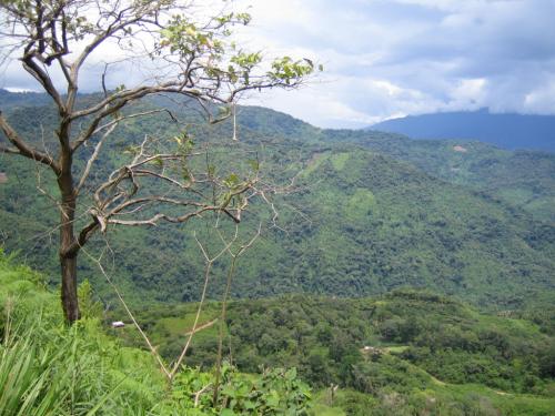 Fotografia de BUBURAP - Galeria Fotografica: AROMA DE CAFE - Foto: 