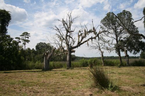 Fotografia de Paola - Galeria Fotografica: Estados Unidos - Foto: Alrededores