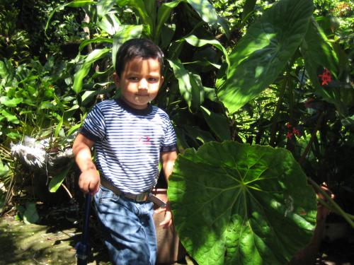 Fotografia de BUBURAP - Galeria Fotografica: AROMA DE CAFE - Foto: AMIGO