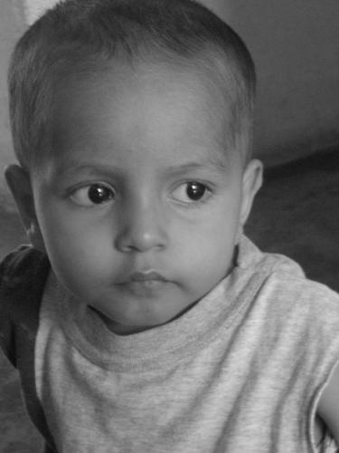 Fotografia de BUBURAP - Galeria Fotografica: AROMA DE CAFE - Foto: SENO DE VIDA