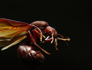 Fotografia de Gregorio - Galeria Fotografica: varios - Foto: 								