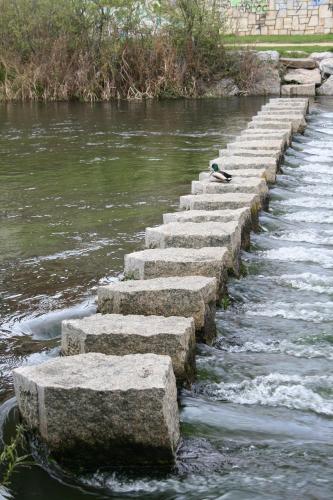 Fotografia de Bea GFez - Galeria Fotografica: f0tikas varias :) - Foto: patito