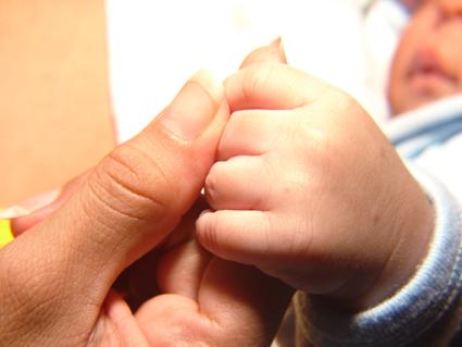 Fotografia de Gregorio - Galeria Fotografica: varios - Foto: 								