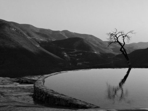 Fotografia de El infinito  - Galeria Fotografica: Madness - Foto: 