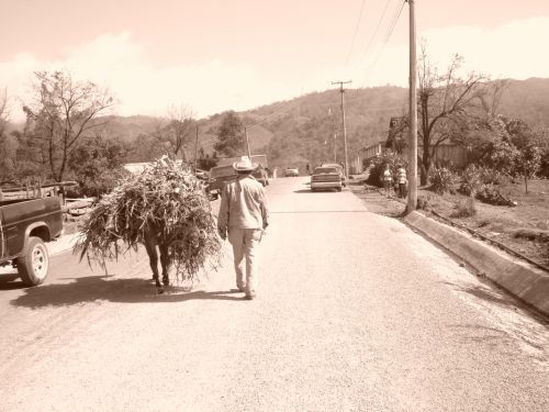 Fotografia de El infinito  - Galeria Fotografica: Madness - Foto: 