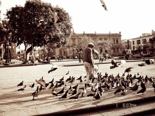 Fotografia de El infinito  - Galeria Fotografica: Madness - Foto: 