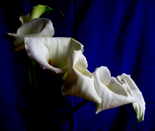 Fotografia de waxxman - Galeria Fotografica: ATARDECERES - Foto: 