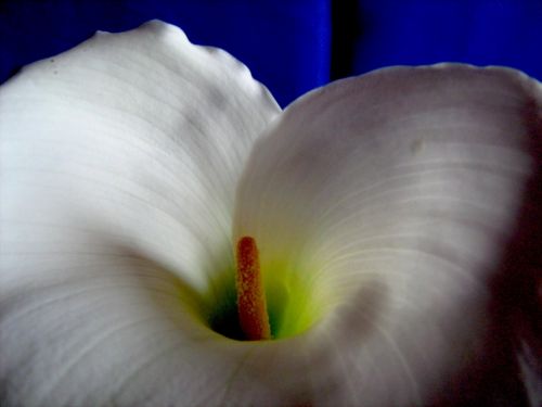 Fotografia de waxxman - Galeria Fotografica: ATARDECERES - Foto: 