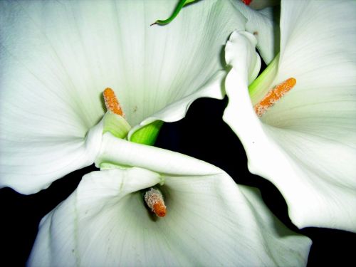 Fotografia de waxxman - Galeria Fotografica: ATARDECERES - Foto: 