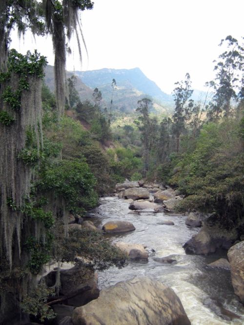 Fotografia de waxxman - Galeria Fotografica: ATARDECERES - Foto: 