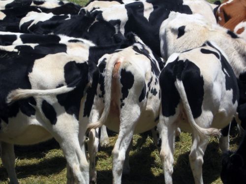 Fotografia de waxxman - Galeria Fotografica: ATARDECERES - Foto: 