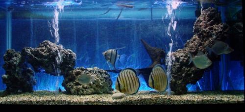 Fotografia de waxxman - Galeria Fotografica: ATARDECERES - Foto: 