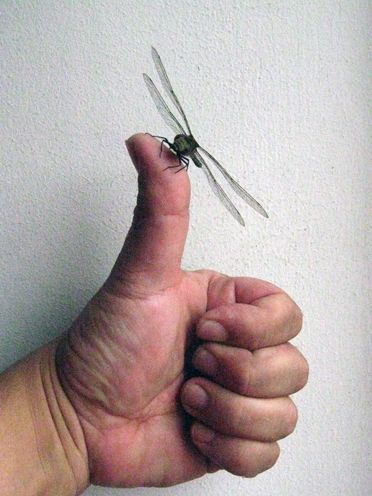 Fotografia de waxxman - Galeria Fotografica: ATARDECERES - Foto: 