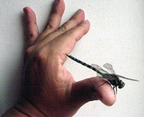 Fotografia de waxxman - Galeria Fotografica: ATARDECERES - Foto: 