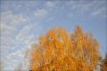 Fotos de Yulia -  Foto: Naturaleza - cielo azul