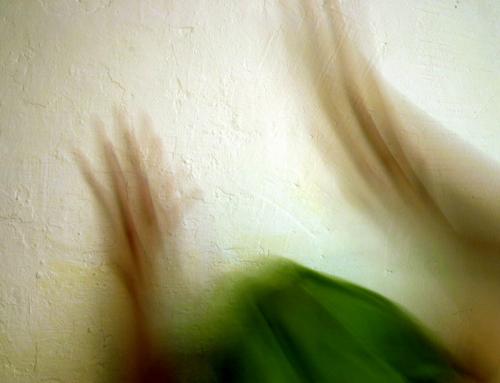 Fotografia de bal - Galeria Fotografica: persona - Foto: 