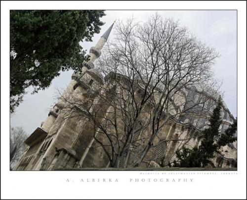 Fotografia de alberka - Galeria Fotografica: Turqua - Foto: Mezquita de Suleymaniye