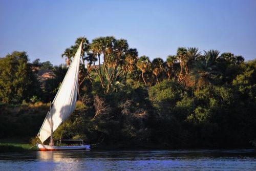 Fotografia de E.Sanchis - Galeria Fotografica: Cairo - Foto: 