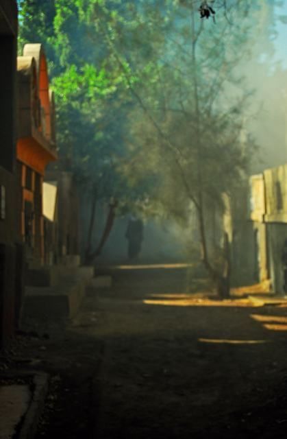 Fotografia de E.Sanchis - Galeria Fotografica: Cairo - Foto: Sola