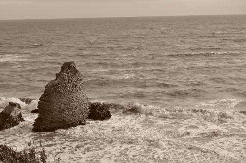 Fotografia de discombadura - Galeria Fotografica: Paraiso en la ciudad - Foto: 