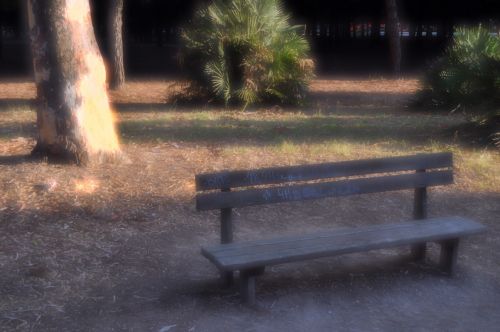 Fotografia de discombadura - Galeria Fotografica: Paraiso en la ciudad - Foto: Melancolia