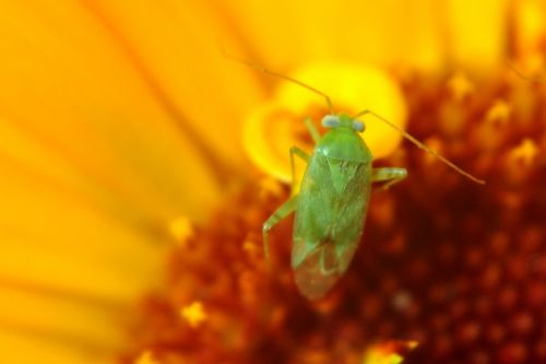 Fotografia de discombadura - Galeria Fotografica: Paraiso en la ciudad - Foto: 