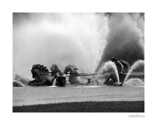 Fotografia de caballano - Galeria Fotografica: Pars - Foto: Fuente Versalles