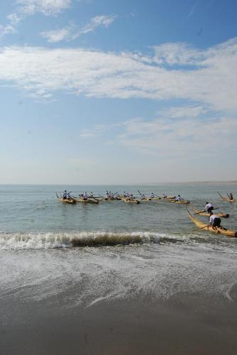 Fotografia de Andrea Swayne Aransaenz - Galeria Fotografica: Danzas - Foto: 11