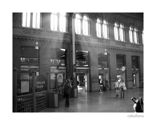 Fotografia de caballano - Galeria Fotografica: Madrid, Budapest, Viena, y Praga - Foto: Atocha 1