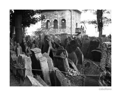 Fotografia de caballano - Galeria Fotografica: Madrid, Budapest, Viena, y Praga - Foto: Cementerio Judio
