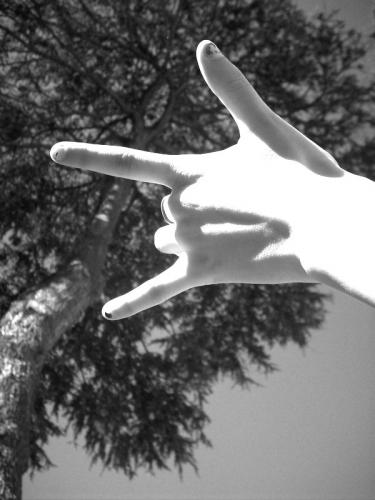 Fotografia de Julia - Galeria Fotografica: Sacadas por mi. - Foto: 								